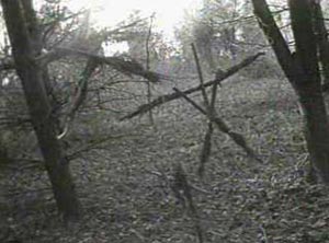 The Blair Witch Project